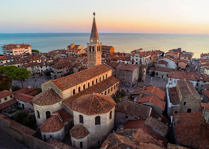 Apartment Pineta Flat With Terrace