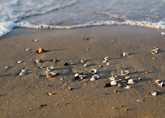 Pineta Flat With Terrace Apartment Grado-Pineta